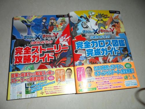 3ds精灵宝可梦xy攻略截图