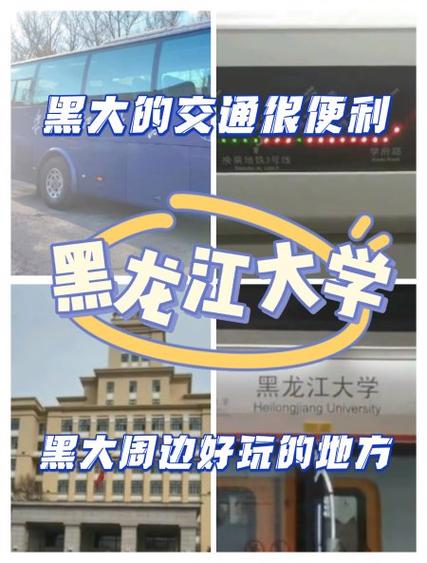 黑大属大黑属大黑属大怎么念