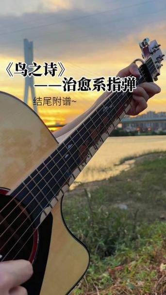 鸟之诗表达了什么图标