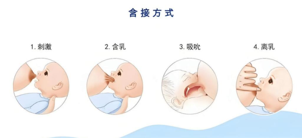 哺乳时怎么控制奶流量