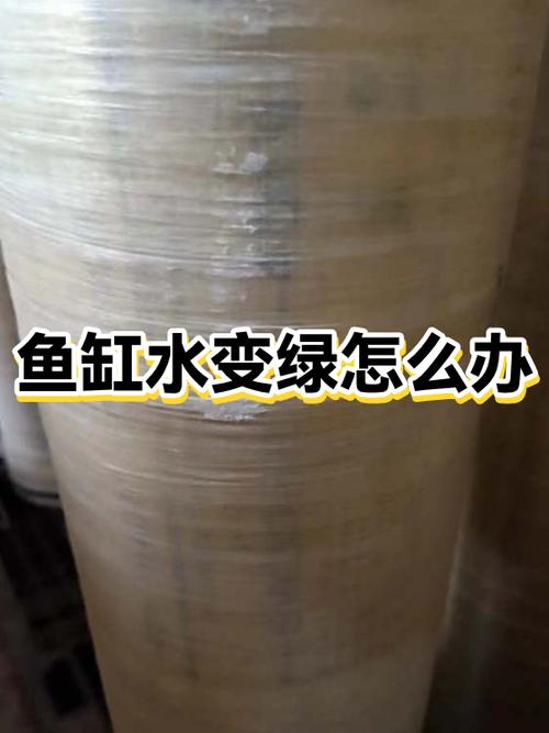 鱼缸绿水的原因和解决办法