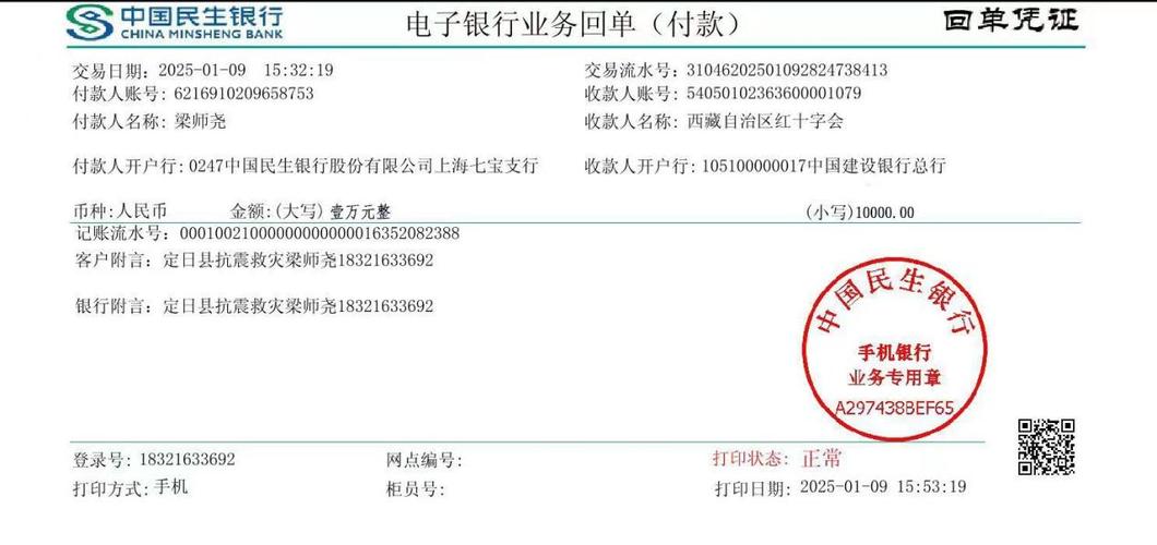 国内业务付款回单