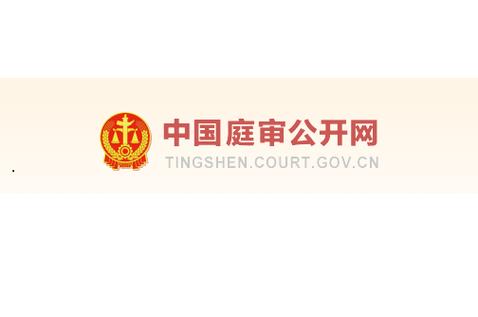 中国庭审公开网视频截图
