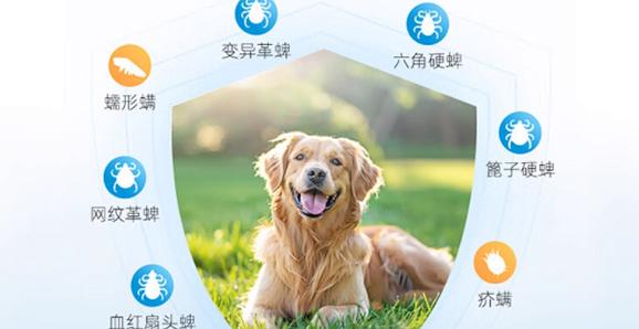 探探不登陆还显示活跃截图