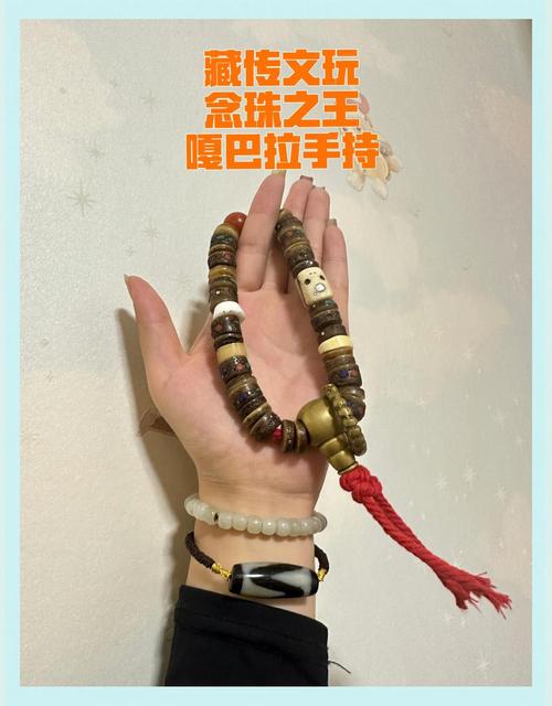 宝藏念cang还是zang