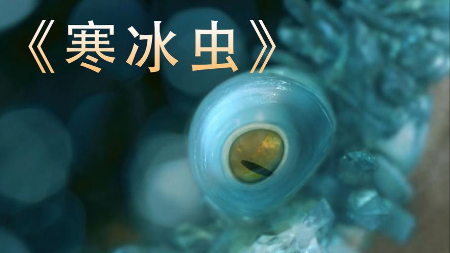 冰℃c虫灾1-2季