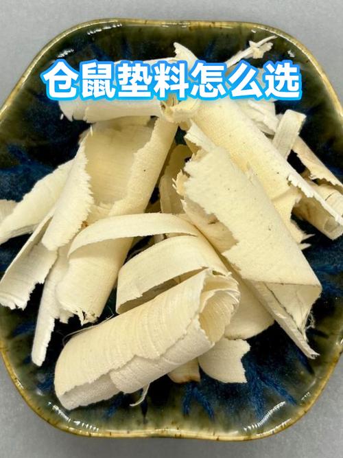 夏天仓鼠用什么垫料