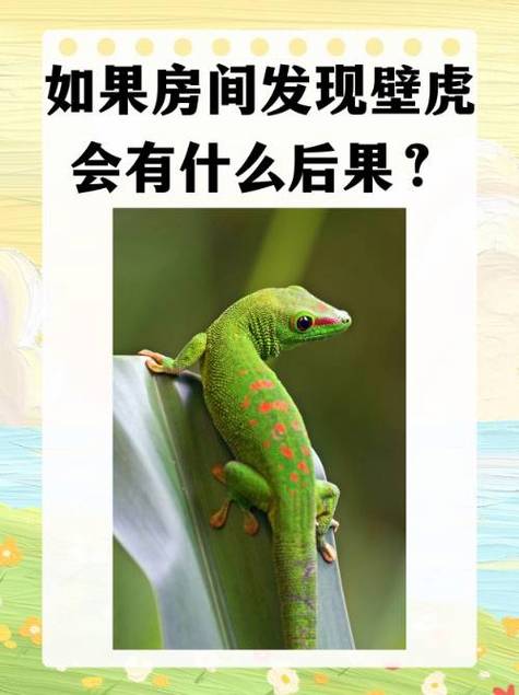 蛙进屋十大征兆截图
