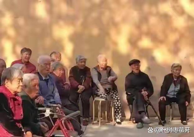 免费中老年人聊天群