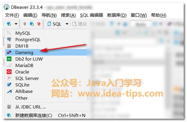 dbeaver连接pg数据库缺少驱动图标