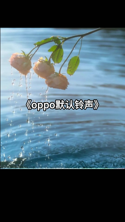 oppo手机广告铃声是什么歌