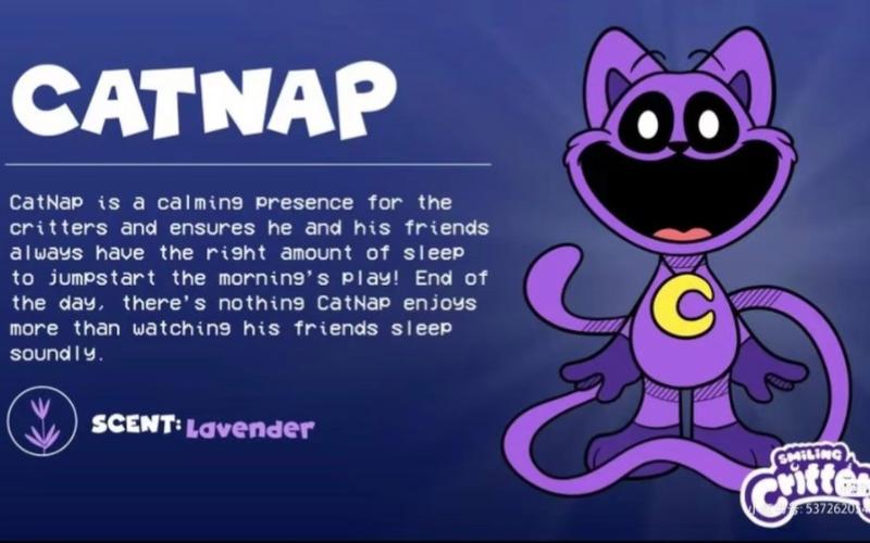 napafterthegame攻略