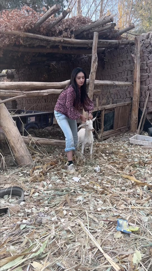 山羊模拟器三如何解锁黑客面罩