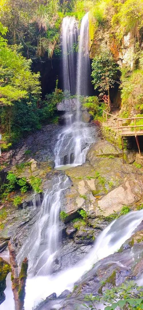 仙寓山
