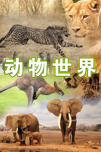 动物世界免费观看高清完整版