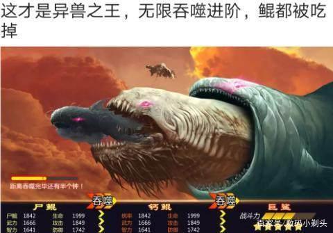 鲲吞天下动态动漫灵宠12等级