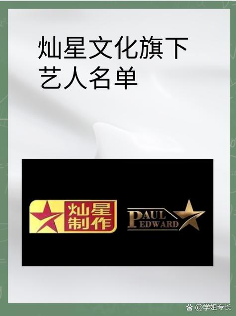灿星文化传媒有限公司缩略图