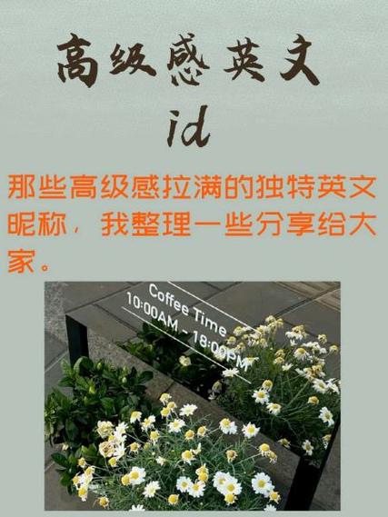 女生用coisini的寓意