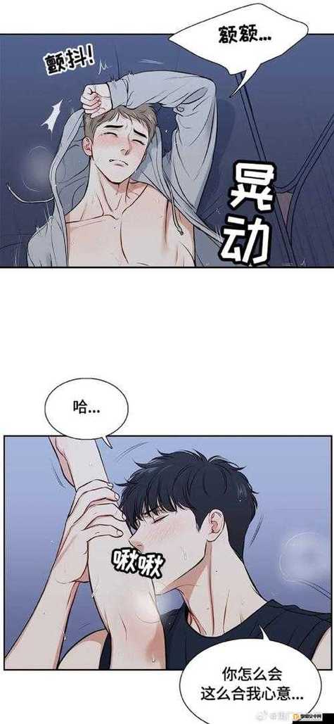 奈斯漫画图标