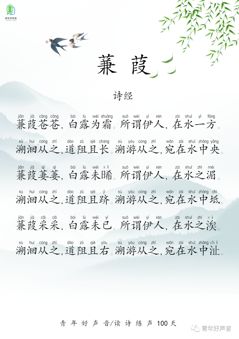 《蒹葭》by蒟蒻蒟蒻