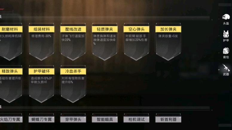 和平精英十大稀有词条