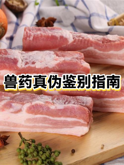 兽药字号真伪在哪里查询