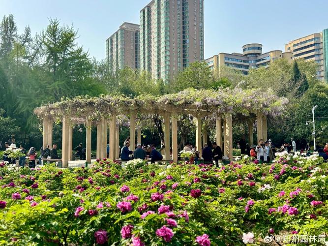 flower游戏下载免费缩略图