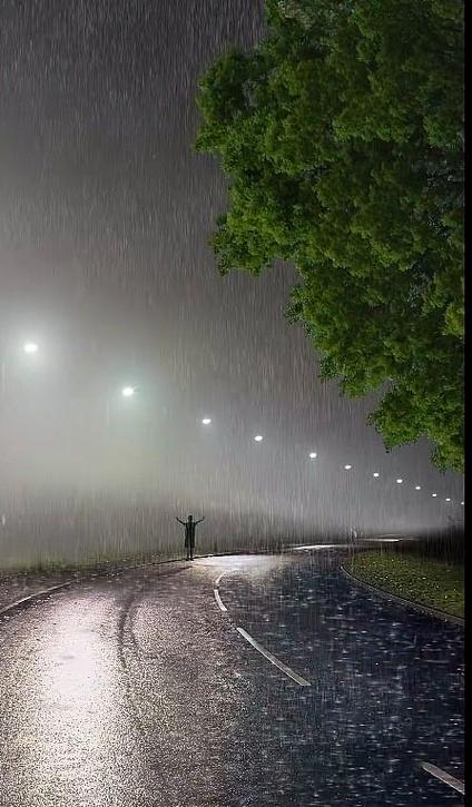 前路漫漫雨纷纷谁在痴痴等表达什么