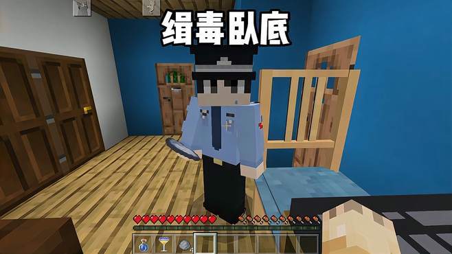 我的世界缉毒卧底2