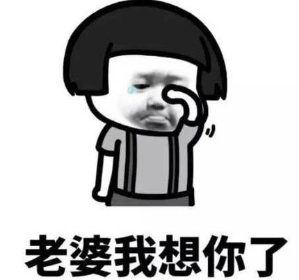 把老婆撩的表情包图片