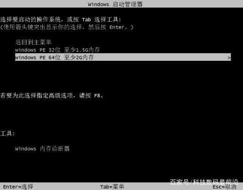 一进入pe系统就蓝屏了