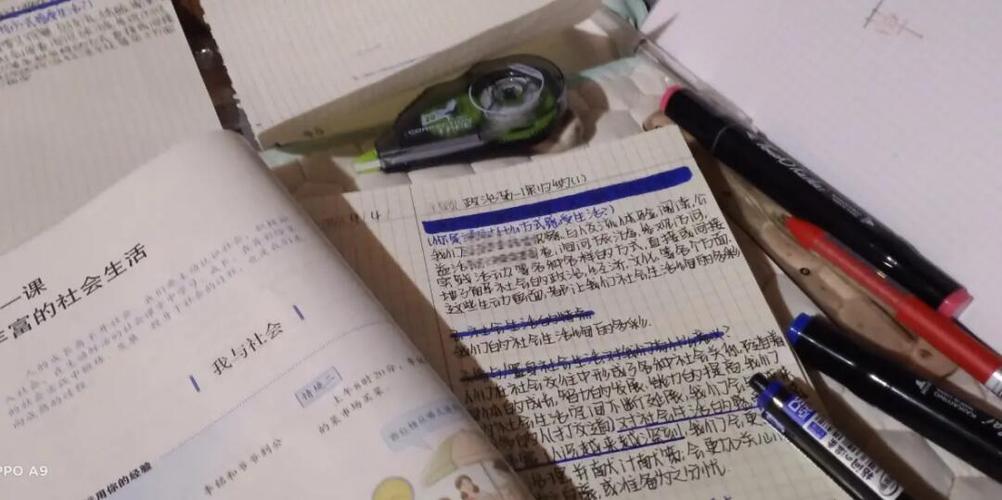 真实政治1.6图标