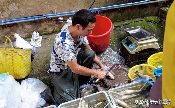手不指鱼正确解释