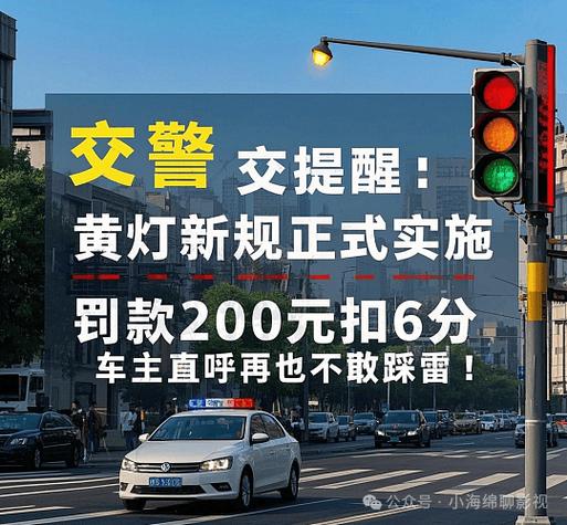 看错红灯闯了一半停路中间