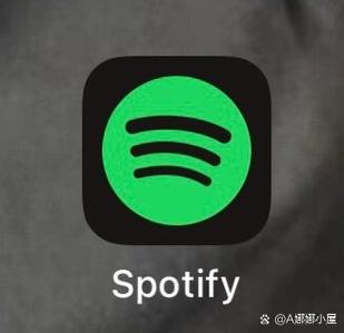 国内如何购买spotify会员缩略图