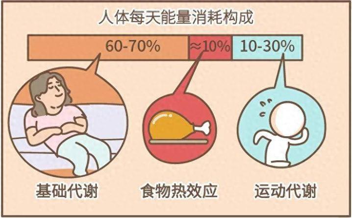 婴儿睡觉消耗能量吗