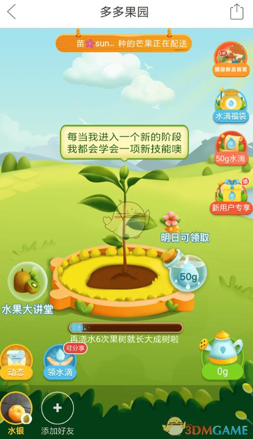 多多果园浇水规则