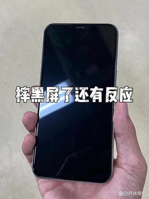 iphone开机亮一下就黑屏图标