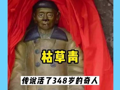 中国奇人异事档案