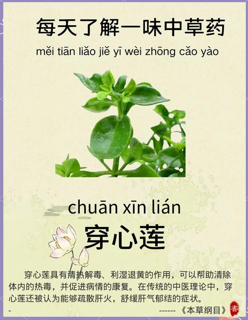 敖听心的别名