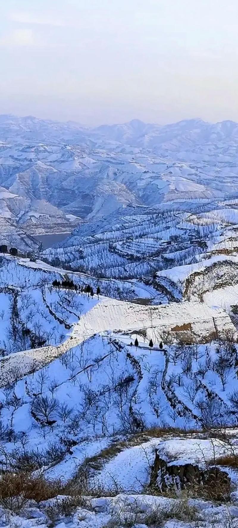 陕北开山锤图片截图