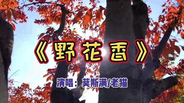 dj野花香歌曲