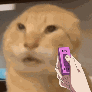 斯拉夫抽象表情包gif