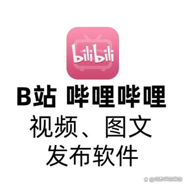 哔哩哔哩视频图标