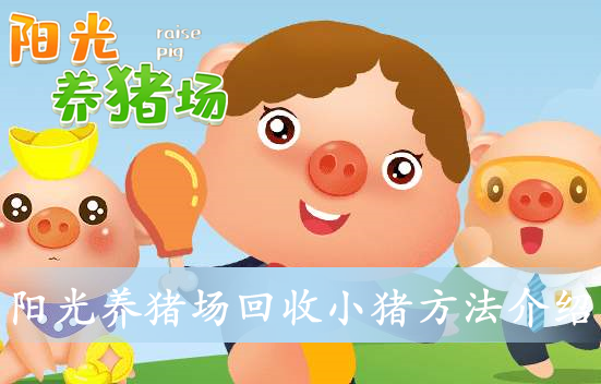 阳光养猪场金猪截图