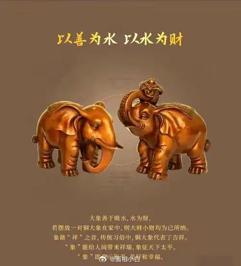 象的寓意和象征风水缩略图