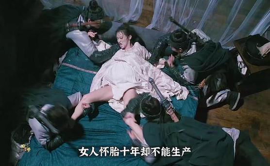 女刺客怀孕大肚子快要生了电视剧