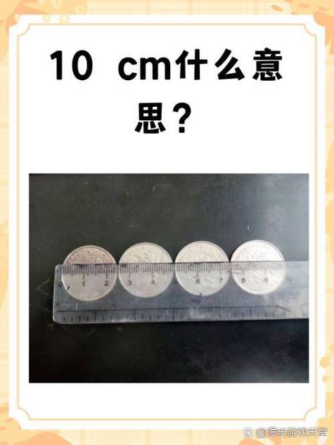 10厘米尺子图片