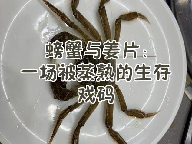 螃蟹丢失的寻找方法缩略图