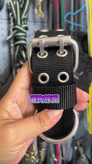 狗脖套大全图片